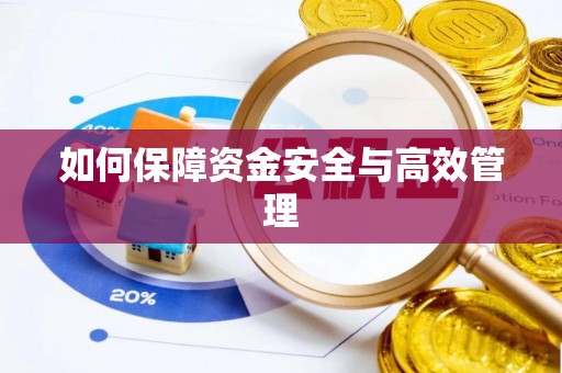 裕民如何保障资金安全与高效管理