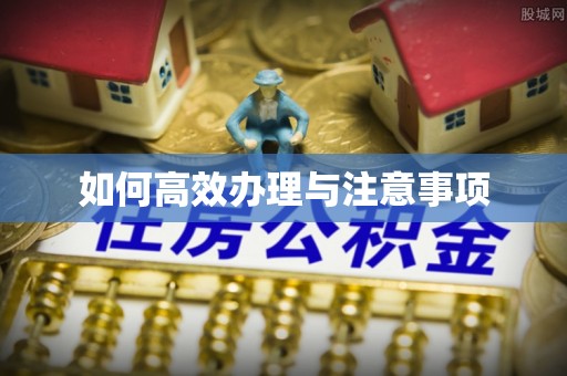 裕民如何高效办理与注意事项