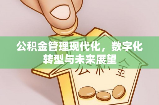 裕民公积金管理现代化，数字化转型与未来展望