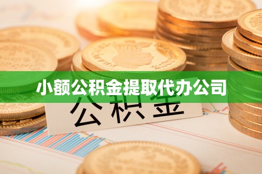 裕民小额公积金提取代办公司