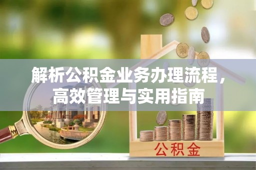 裕民解析公积金业务办理流程，高效管理与实用指南