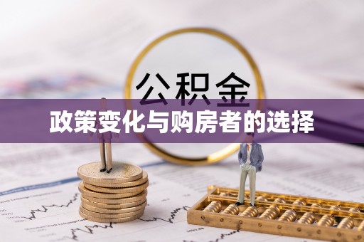 裕民政策变化与购房者的选择