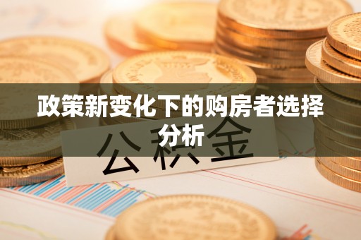 裕民政策新变化下的购房者选择分析
