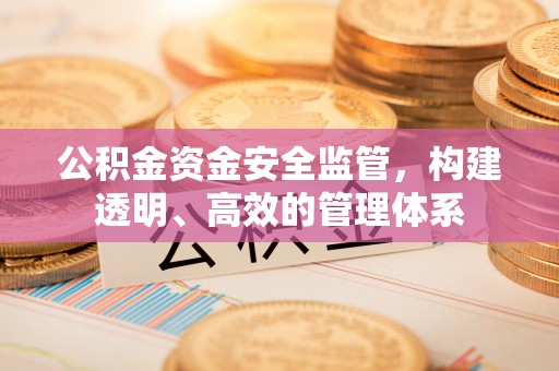 裕民公积金资金安全监管，构建透明、高效的管理体系