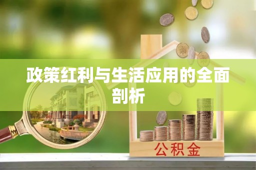 裕民政策红利与生活应用的全面剖析
