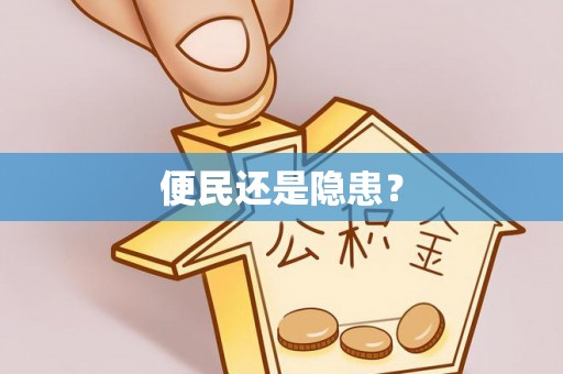 裕民便民还是隐患？