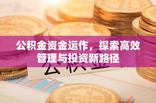 裕民公积金资金运作，探索高效管理与投资新路径