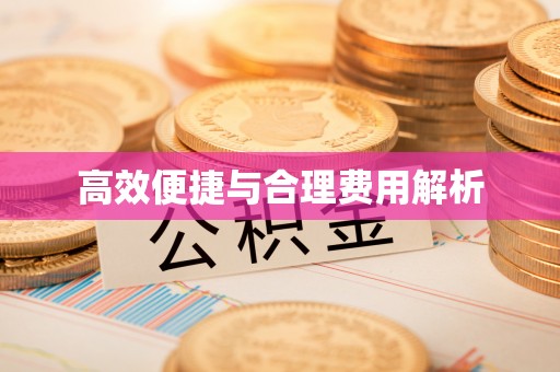 裕民高效便捷与合理费用解析