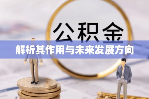 裕民解析其作用与未来发展方向