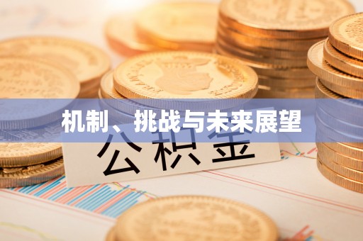 裕民机制、挑战与未来展望